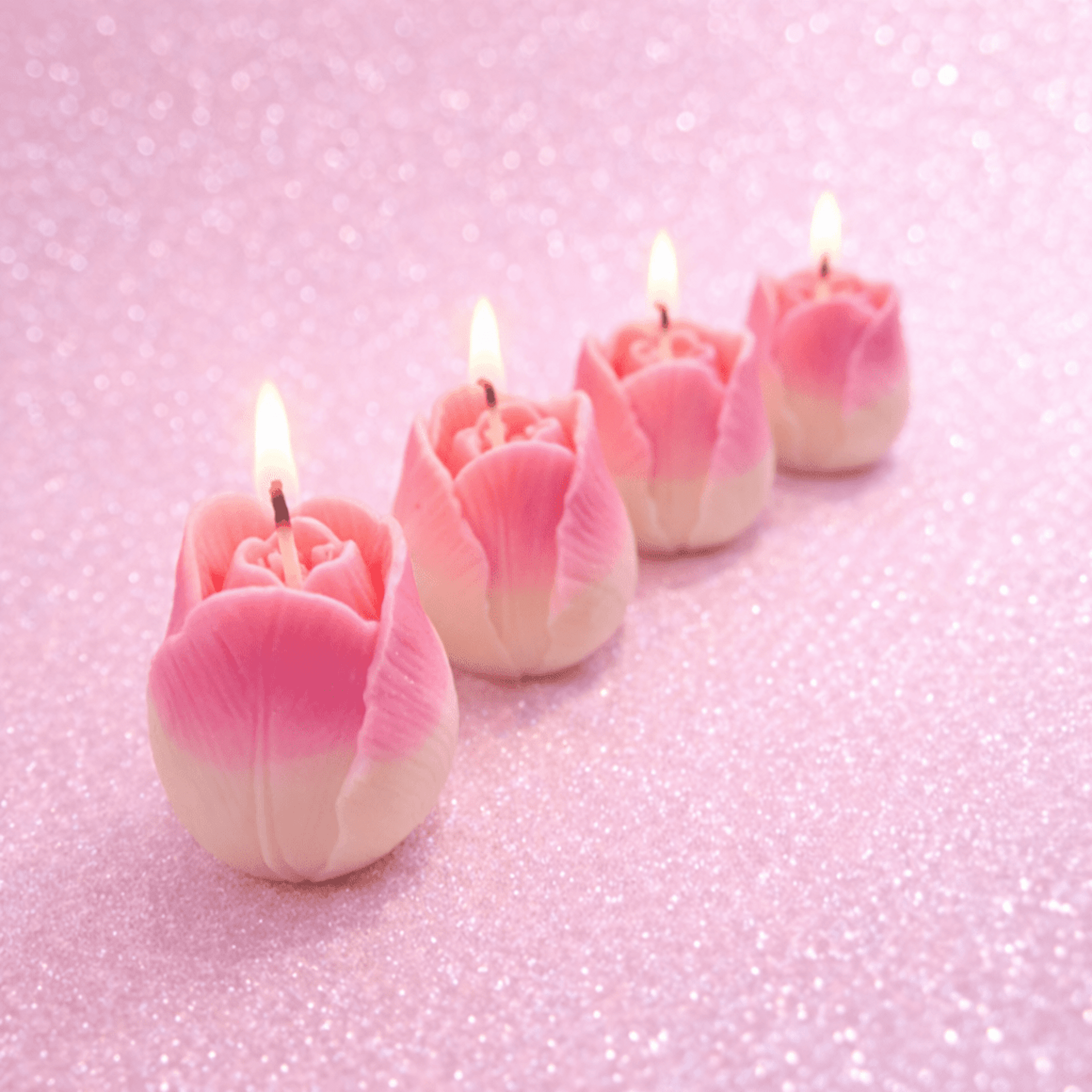 🌷CANTO DE TULIPÁN - 2